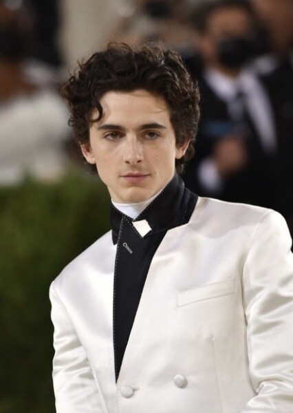 Timothée Chalamet photo