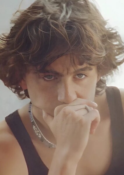 Timothée Chalamet photo