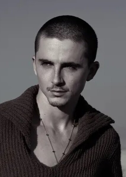 Timothée Chalamet photo