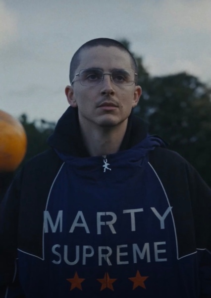 Timothée Chalamet photo