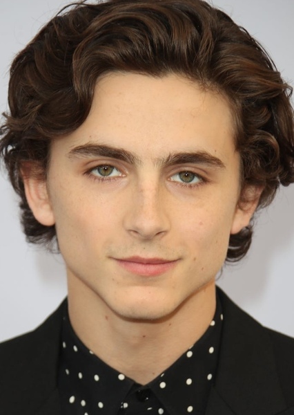 Timothée Chalamet photo