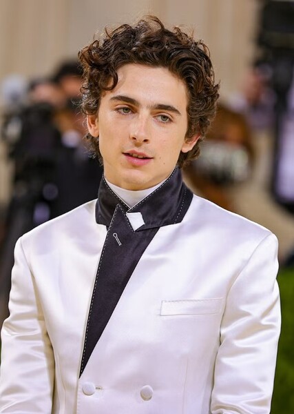 Timothée Chalamet photo
