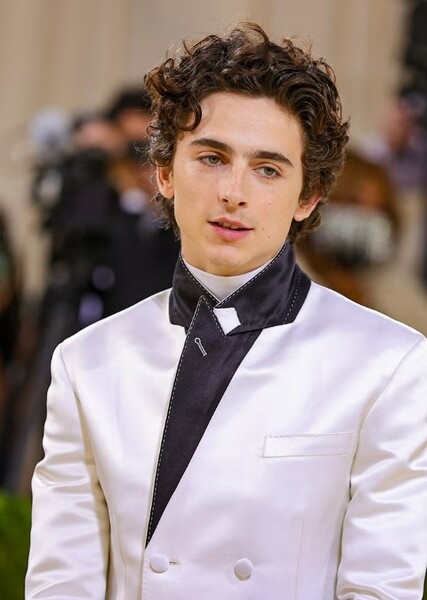 Timothée Chalamet photo
