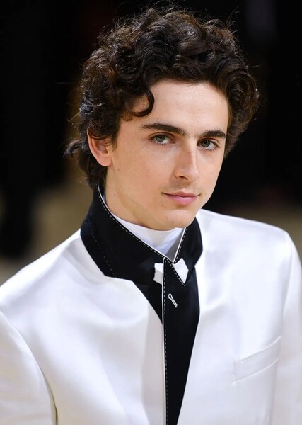 Timothée Chalamet photo