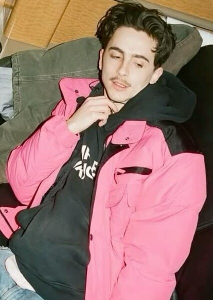 Timothée Chalamet photo