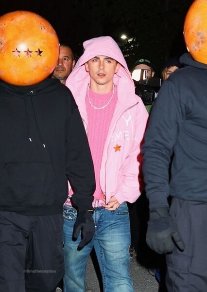 Timothée Chalamet photo