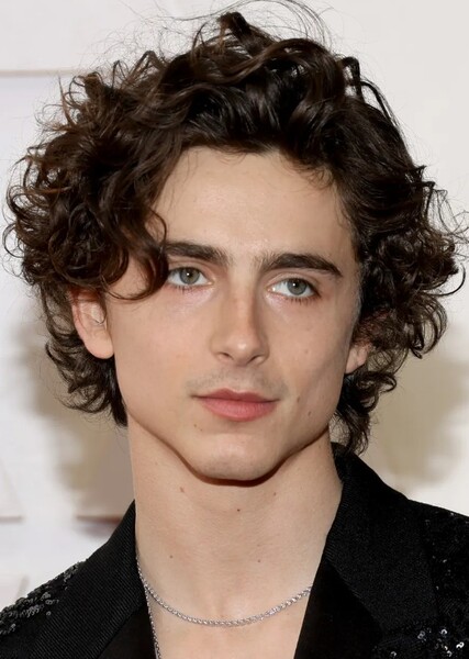 Timothée Chalamet photo