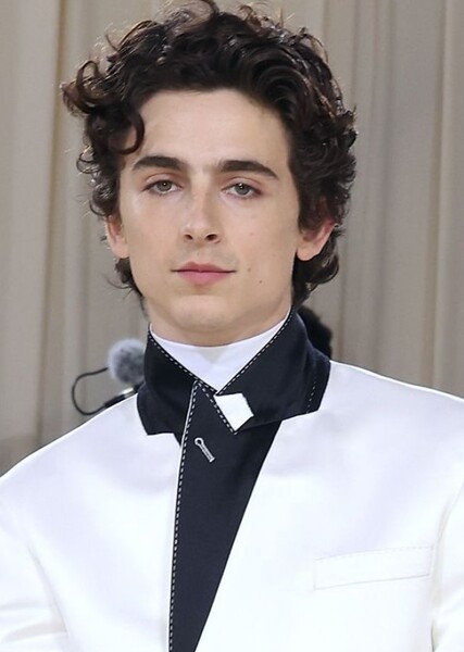 Timothée Chalamet photo