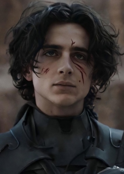 Timothée Chalamet photo