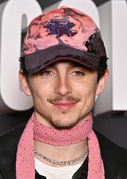 Timothée Chalamet photo