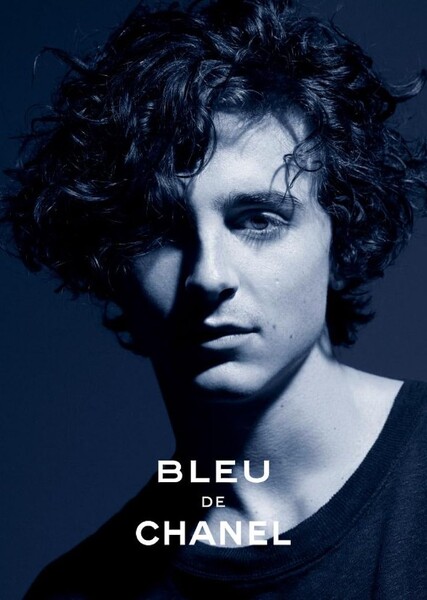Timothée Chalamet photo