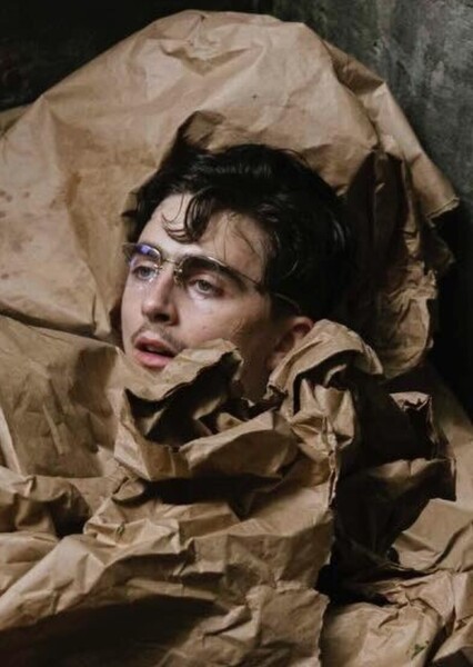 Timothée Chalamet photo