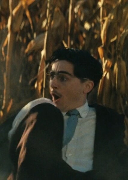 Timothée Chalamet photo