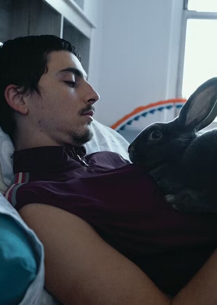 Timothée Chalamet photo