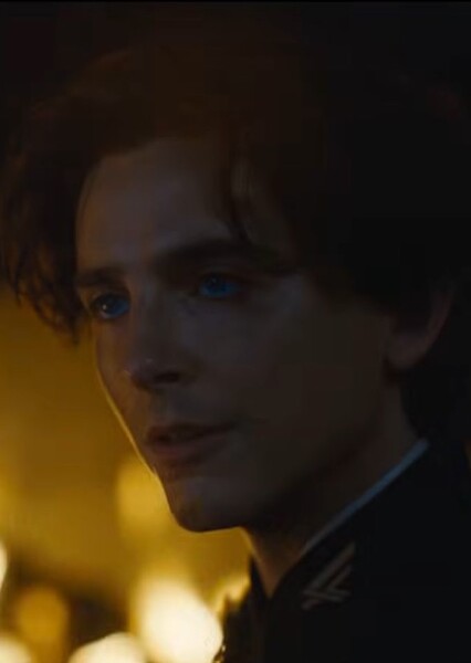 Timothée Chalamet photo