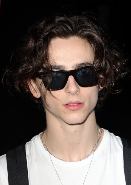 Timothée Chalamet photo