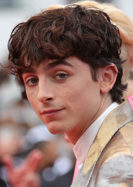 Timothée Chalamet photo