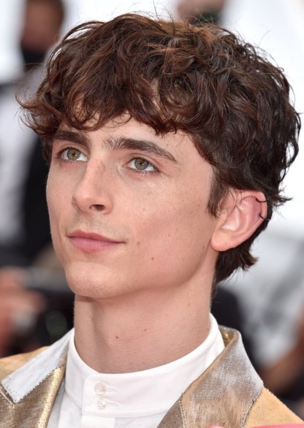 Timothée Chalamet photo