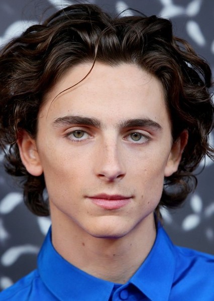 Timothée Chalamet photo