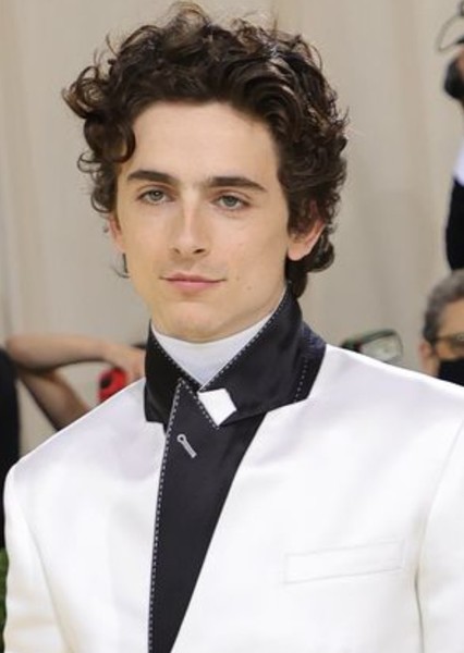 Timothée Chalamet photo