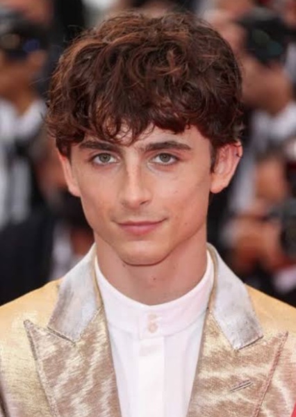Timothée Chalamet photo