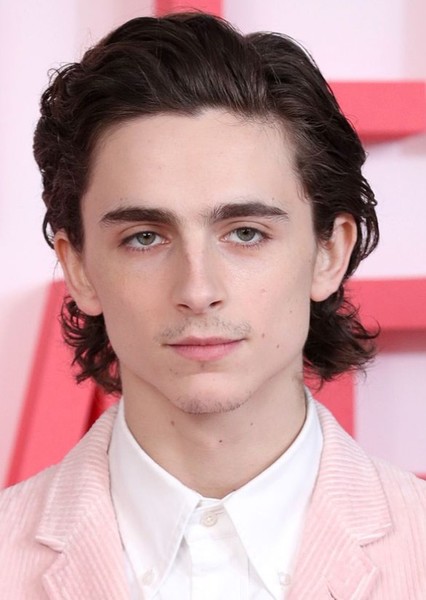 Timothée Chalamet photo