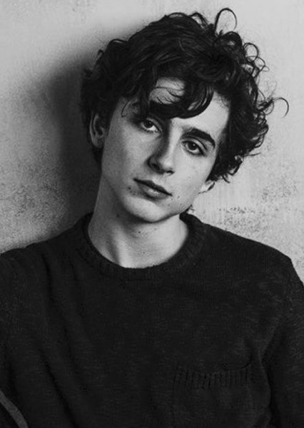 Timothée Chalamet photo