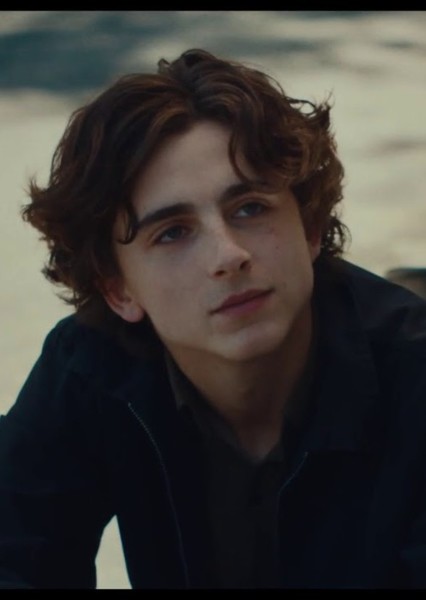 Timothée Chalamet photo