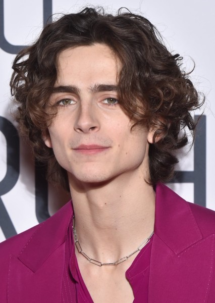 Timothée Chalamet photo