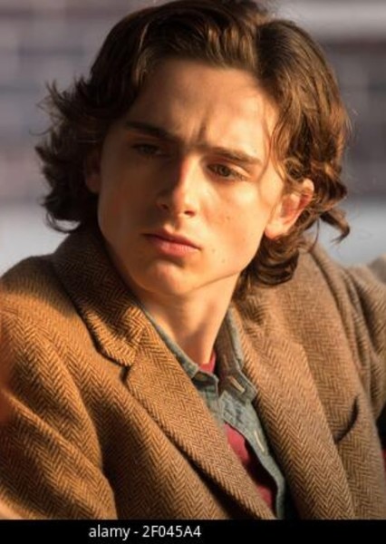 Timothée Chalamet photo