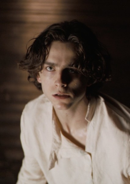 Timothée Chalamet photo
