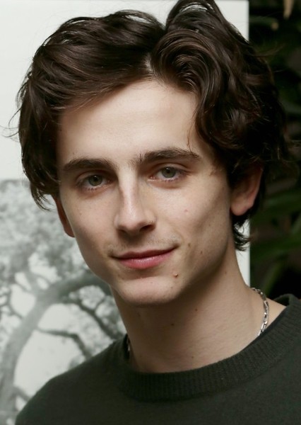 Timothée Chalamet photo