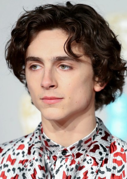 Timothée Chalamet photo