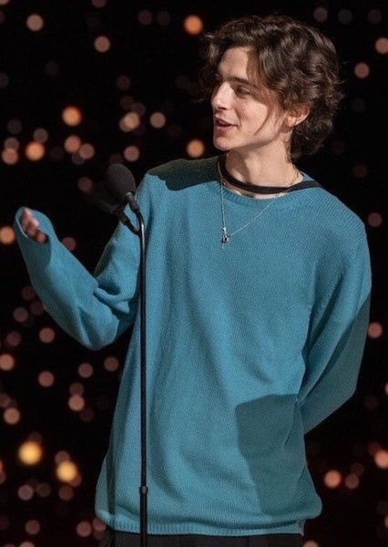 Timothée Chalamet photo