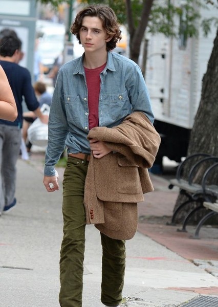 Timothée Chalamet photo