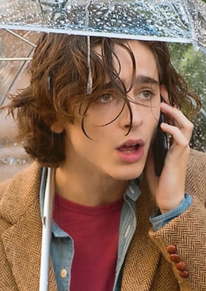 Timothée Chalamet photo