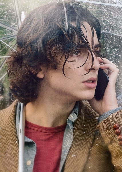 Timothée Chalamet photo