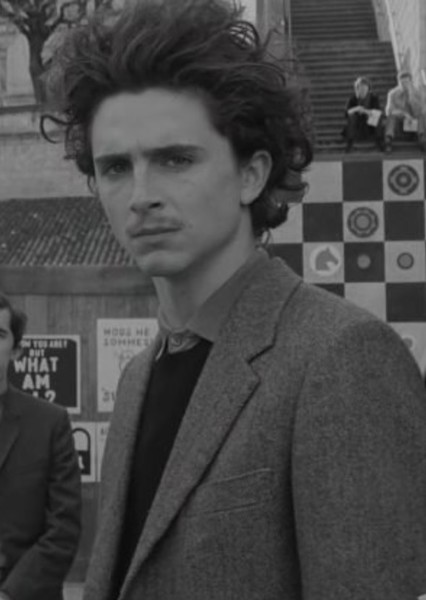 Timothée Chalamet photo