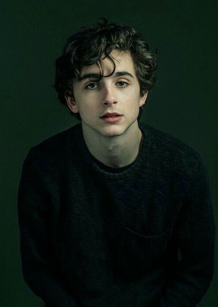 Timothée Chalamet photo