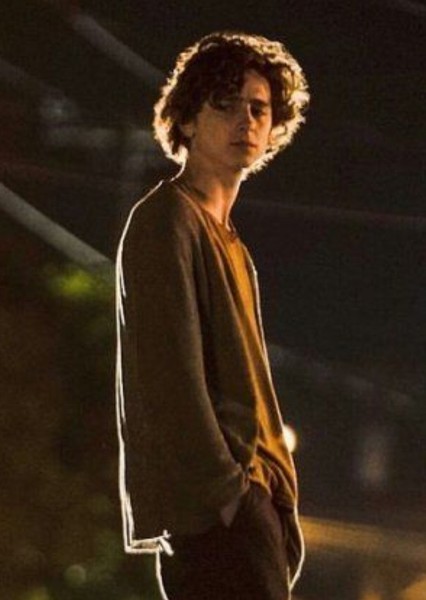 Timothée Chalamet photo