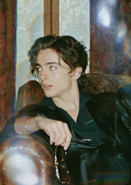Timothée Chalamet photo