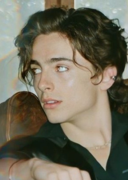 Timothée Chalamet photo