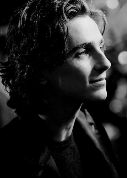 Timothée Chalamet photo