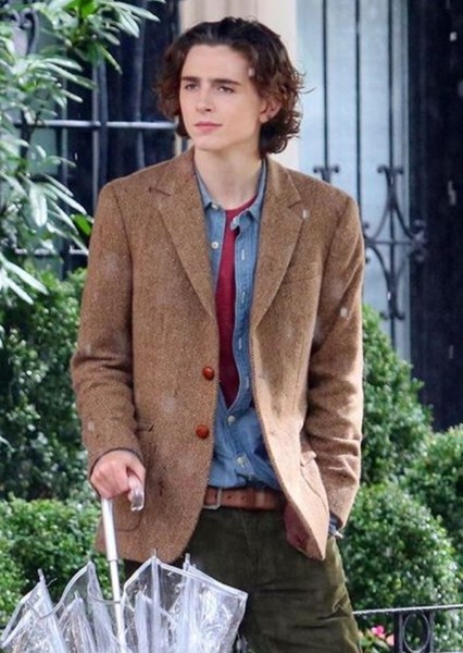 Timothée Chalamet photo