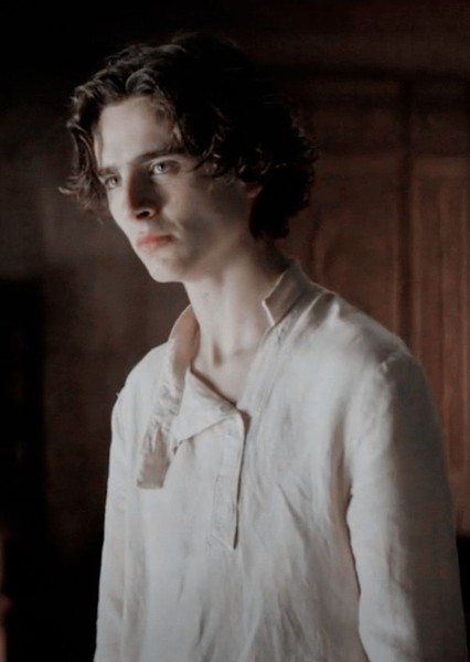 Timothée Chalamet photo
