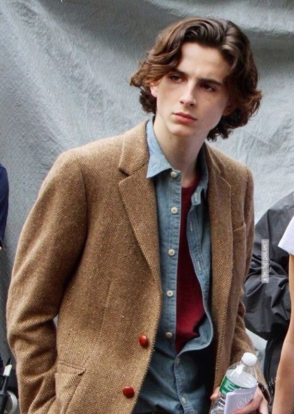 Timothée Chalamet photo