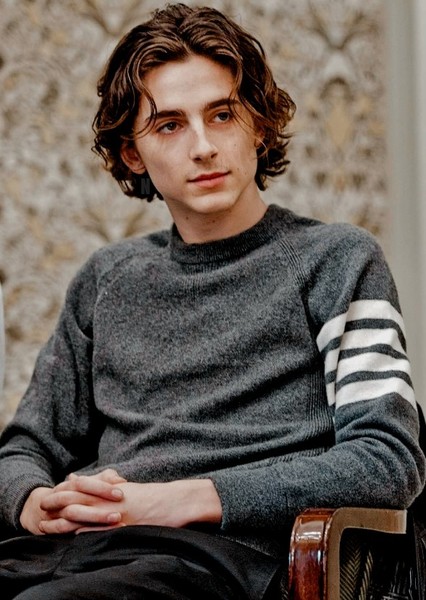 Timothée Chalamet photo