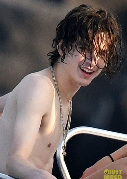 Timothée Chalamet photo