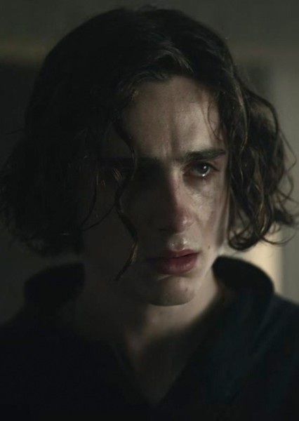 Timothée Chalamet photo