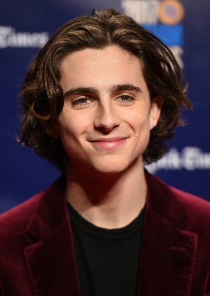 Timothée Chalamet photo